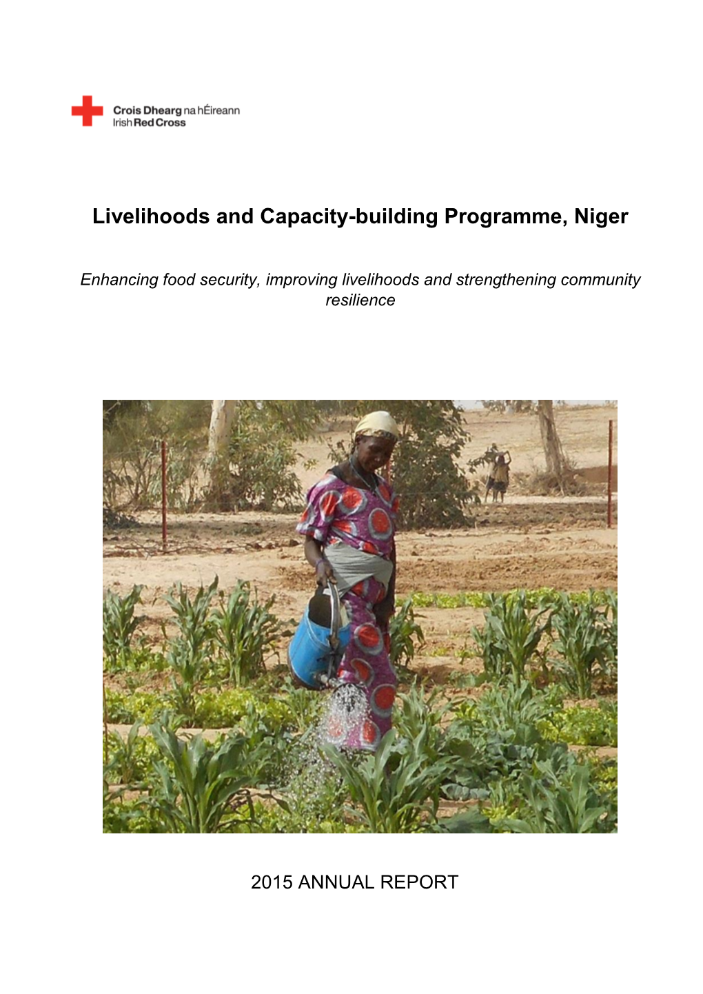 Livelihoods and Capacity-Building Programme, Niger