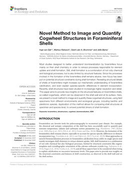 Novel Method to Image and Quantify Cogwheel Structures in Foraminiferal Shells