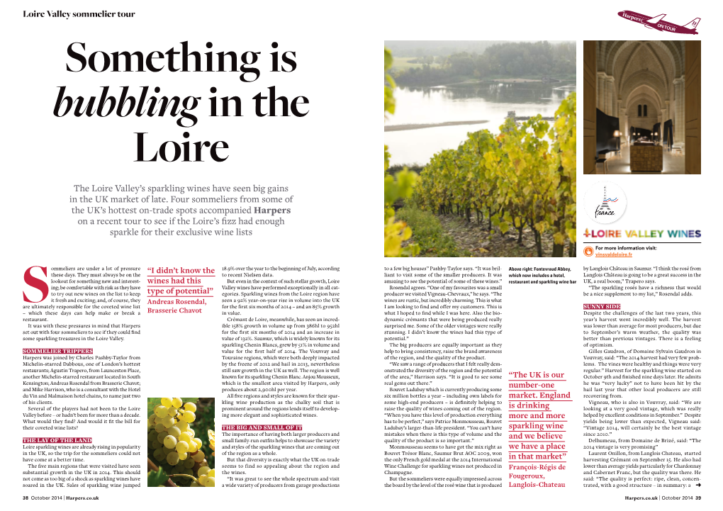 The Loire Valley's Sparkling Wines Have Seen Big Gains