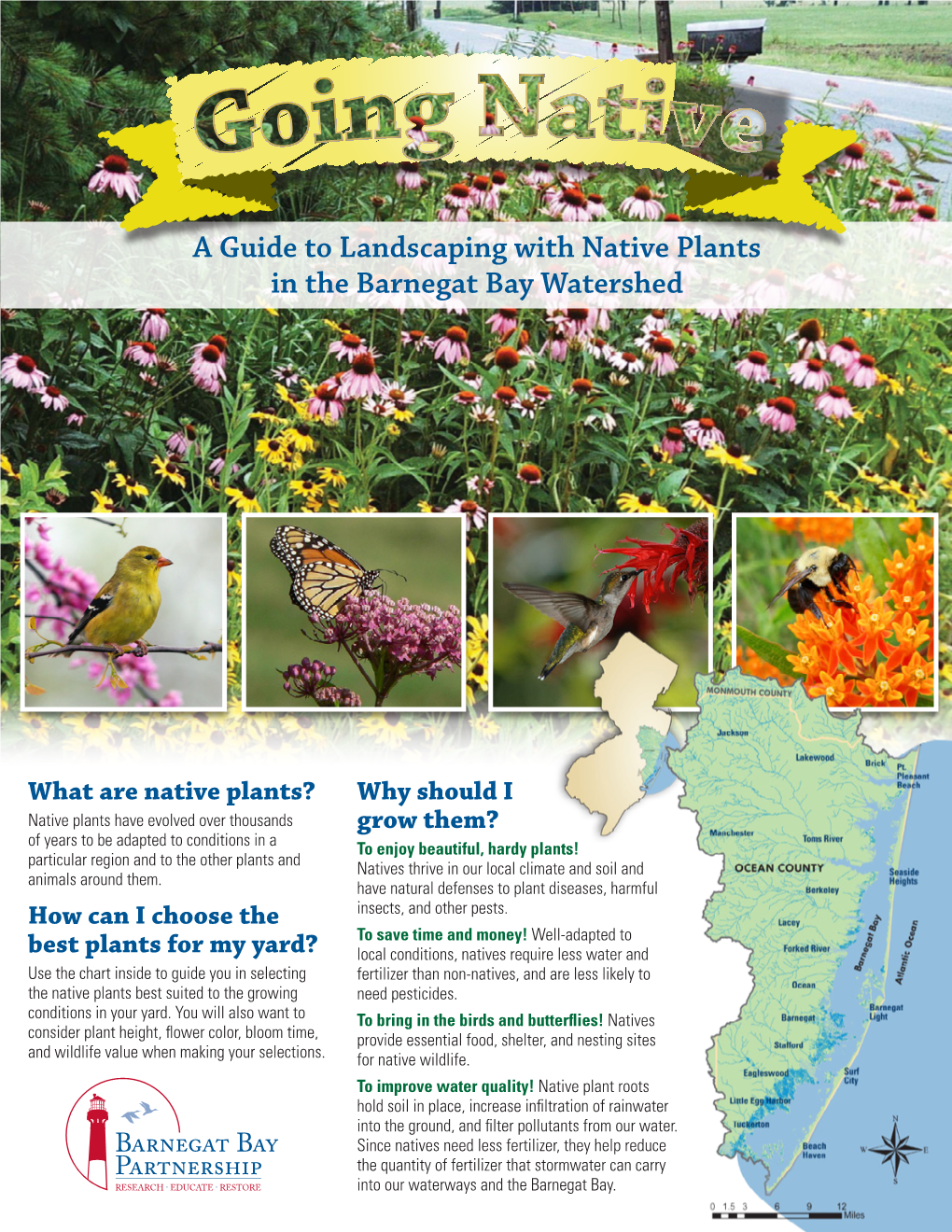 A Guide To Landscaping With Native Plants In The Barnegat Bay Watershed Docslib 8695