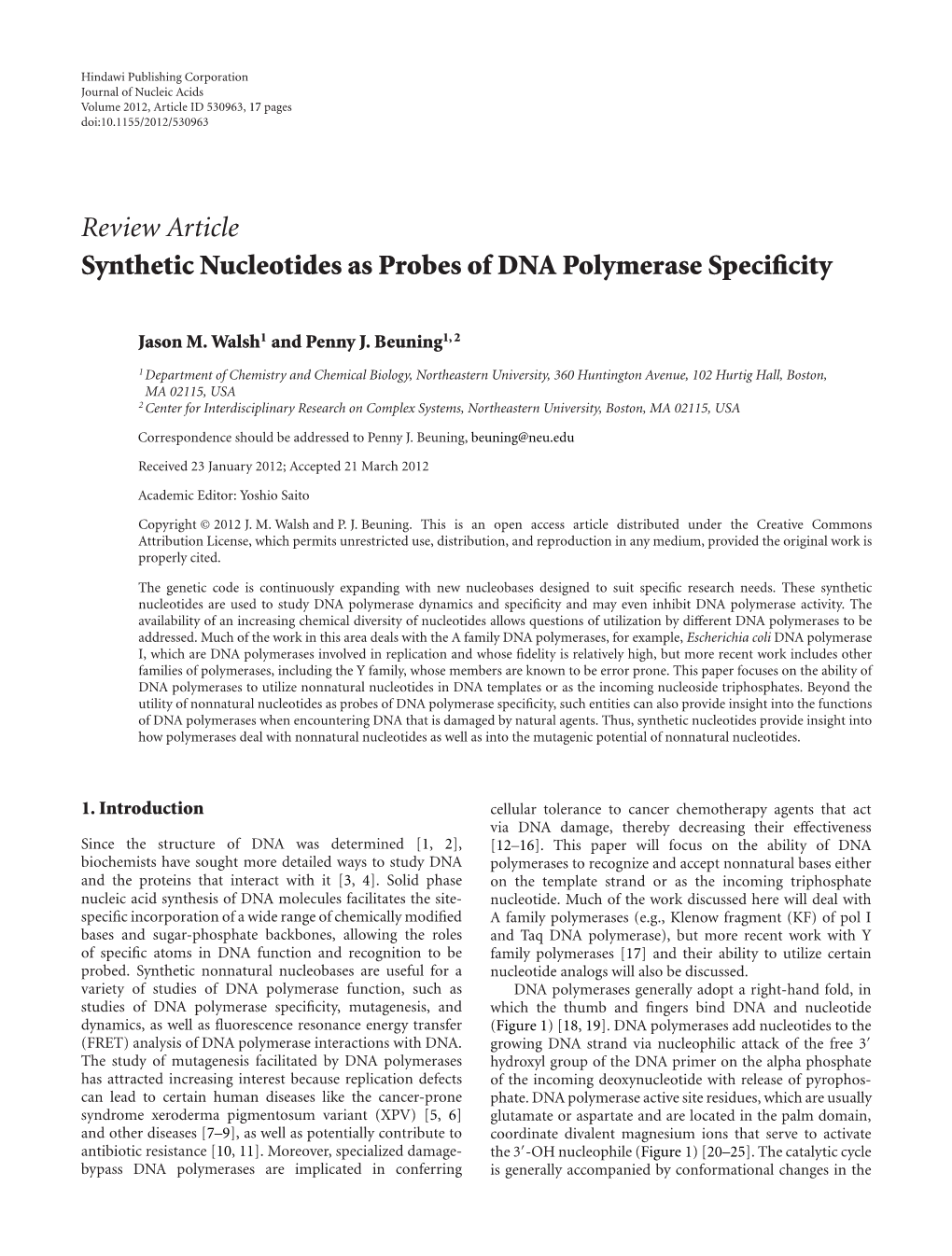 Synthetic Nucleotides As Probes of DNA Polymerase Specificity