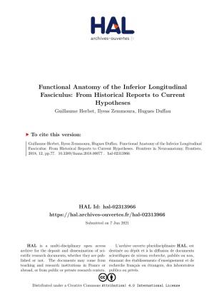 Functional Anatomy of the Inferior Longitudinal Fasciculus: from Historical Reports to Current Hypotheses Guillaume Herbet, Ilyess Zemmoura, Hugues Duffau