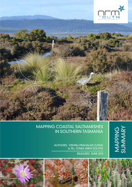 Mapping Coastal Saltmarshes in SOUTHERN TASMANIA