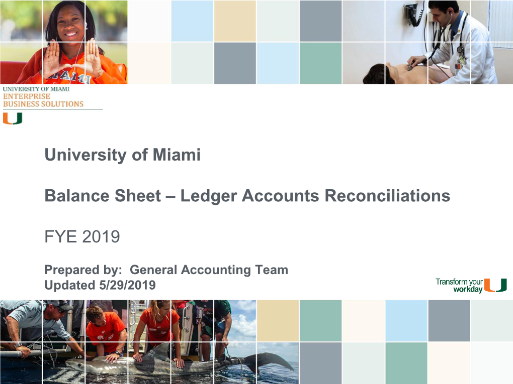 University of Miami Balance Sheet – Ledger Accounts Reconciliations