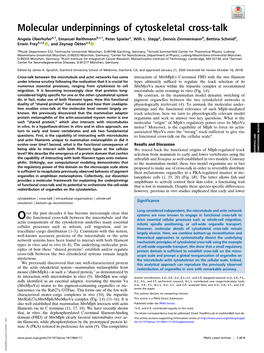 Molecular Underpinnings of Cytoskeletal Cross-Talk