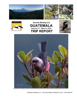 GUATEMALA February 17 – March 2, 2018 TRIP REPORT