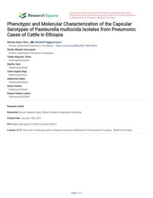 Phenotypic and Molecular Characterization of the Capsular Serotypes of Pasteurella Multocida Isolates from Pneumonic Cases of Cattle in Ethiopia