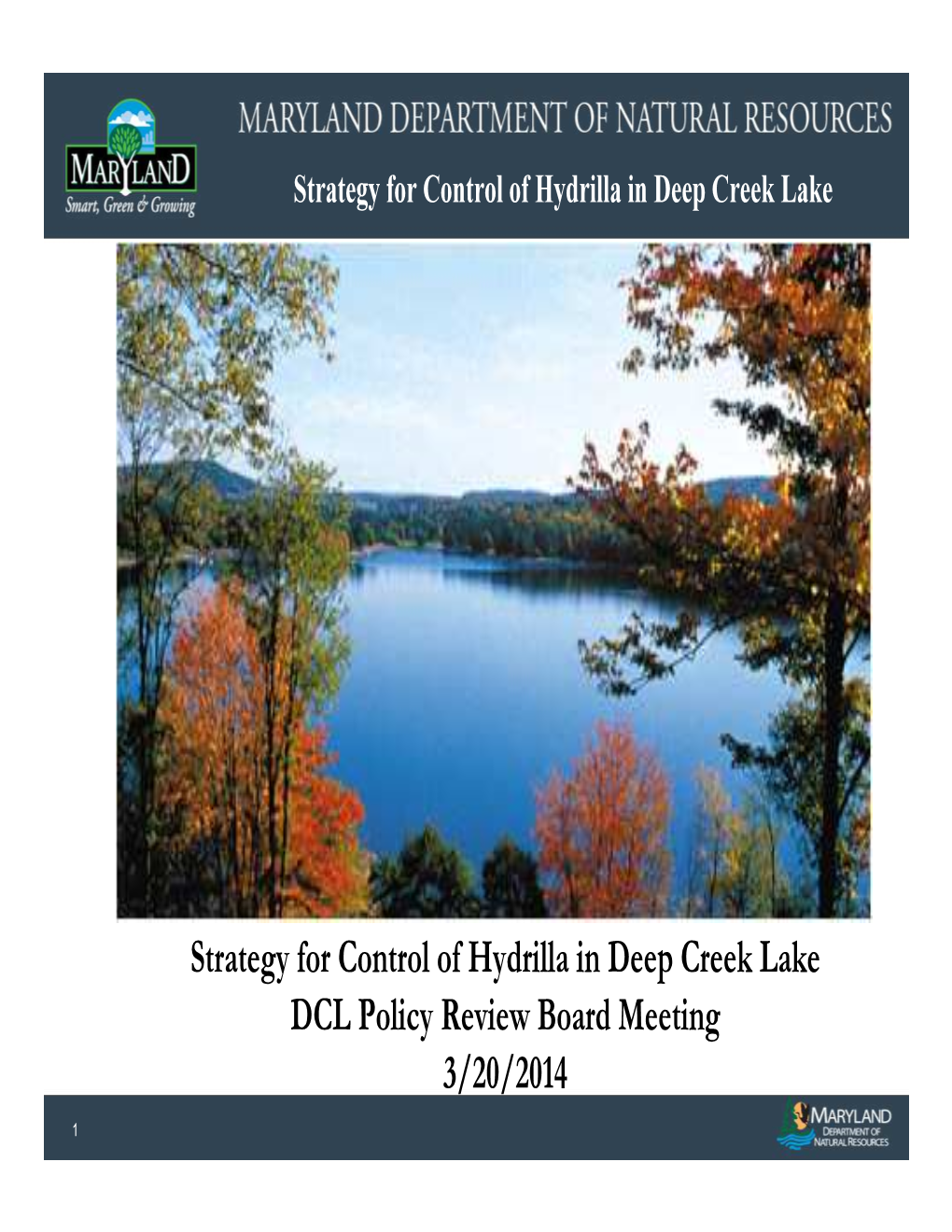 Strategy for Control of Hydrilla in Deep Creek Lake DCL Policy Review Board Meeting 3/20/2014