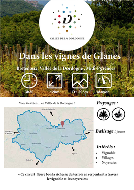 Dans Les Vignes De Glanes Bretenoux, Vallée De La Dordogne , Midi-Pyrénées