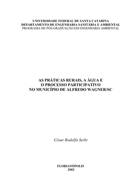 Dissertação César R. Seibt 2002