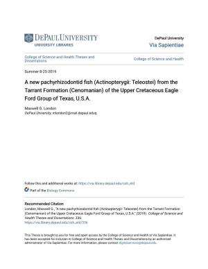 From the Tarrant Formation (Cenomanian) of the Upper Cretaceous Eagle Ford Group of Texas, U.S.A