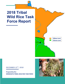 2018 Tribal Wild Rice Task Force Report