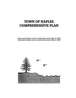 2006 Comprehensive Plan.Pdf