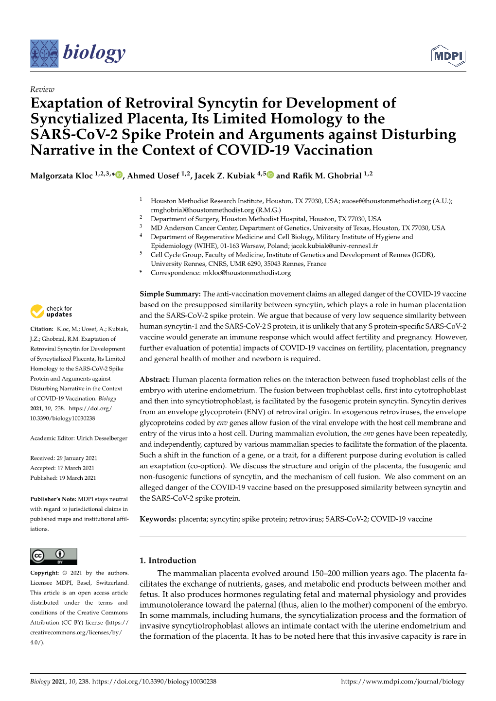 Exaptation of Retroviral Syncytin for Development of Syncytialized