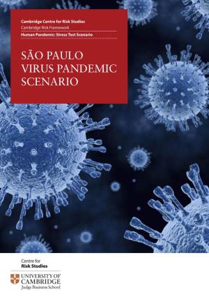 SÃO PAULO VIRUS PANDEMIC SCENARIO Air Traffic Network of the World Conduit for Pandemic Spread Infected Passengers Spread the Pandemic from Country to Country