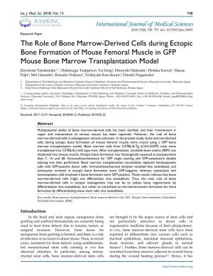 The Role of Bone Marrow-Derived Cells During Ectopic Bone