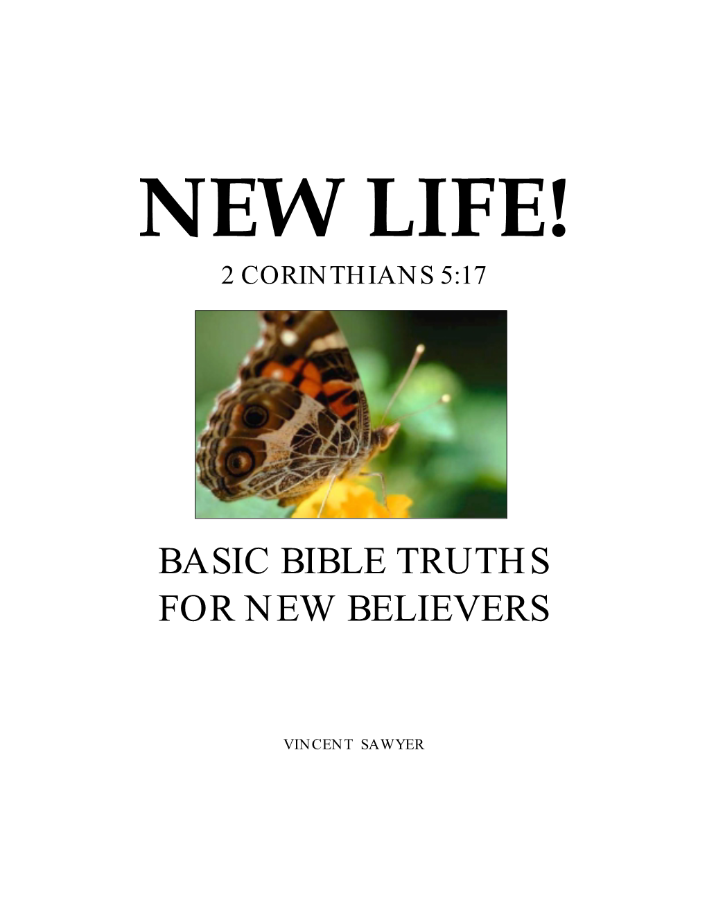 basic-bible-truths-for-new-believers-docslib