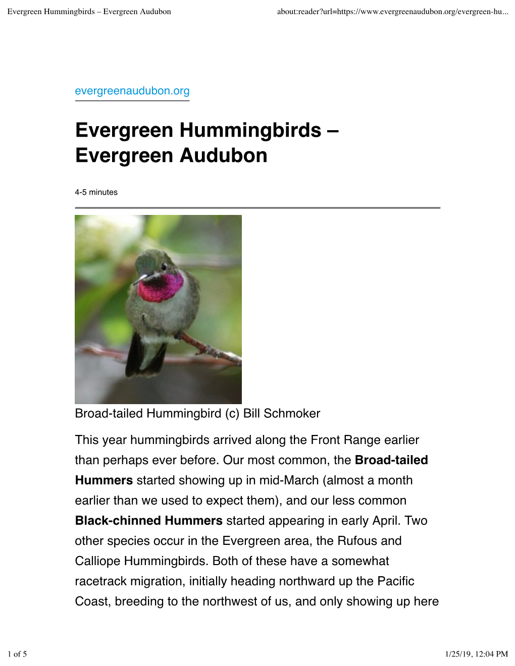 Evergreen Hummingbirds – Evergreen Audubon About:Reader?Url=