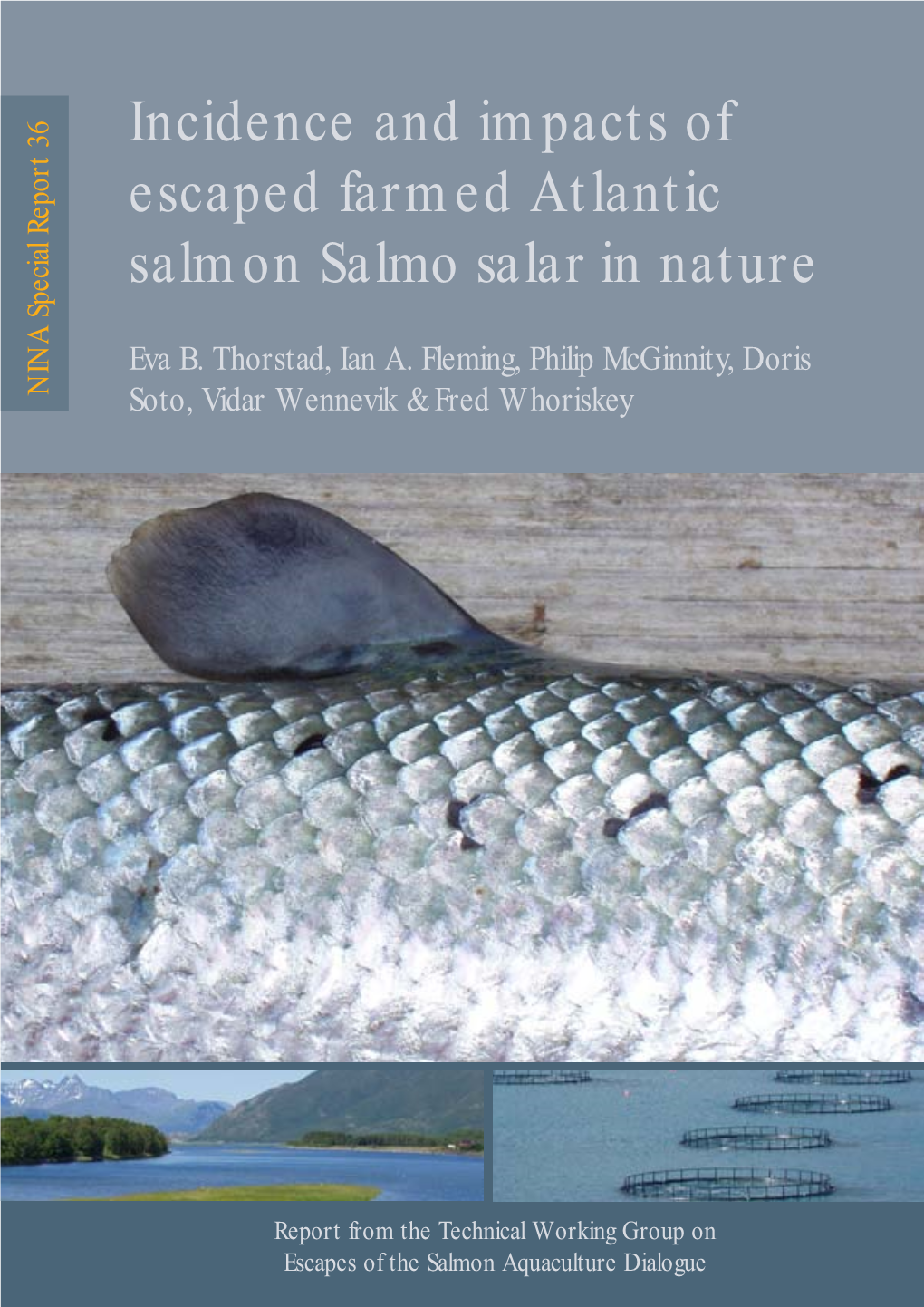 Incidence and Impacts of Escaped Farmed Atlantic Salmon Salmo Salar in Nature