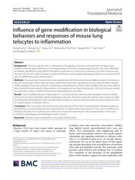 Influence of Gene Modification in Biological Behaviors and Responses of Mouse Lung Telocytes to Inflammation