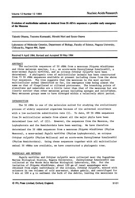 Evolution of Multicellular Animals As Deduced from 5S Rrna Sequences