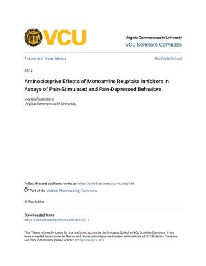Antinociceptive Effects of Monoamine Reuptake Inhibitors in Assays of Pain-Stimulated and Pain-Depressed Behaviors