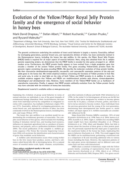 Evolution of the Yellow/Major Royal Jelly Protein Family and the Emergence of Social Behavior in Honey Bees