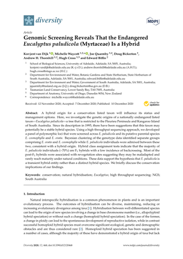 Genomic Screening Reveals That the Endangered Eucalyptus Paludicola (Myrtaceae) Is a Hybrid