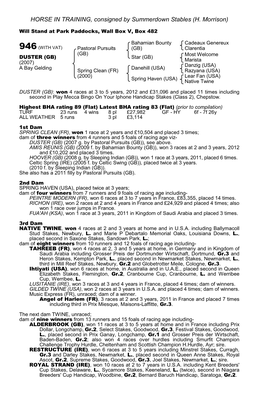 HORSE in TRAINING, Consigned by Summerdown Stables (H