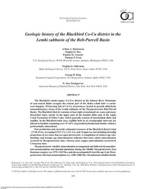 Geologic History of the Blackbird Co-Cu District in the Lemhi Subbasin of the Belt-Purcell Basin