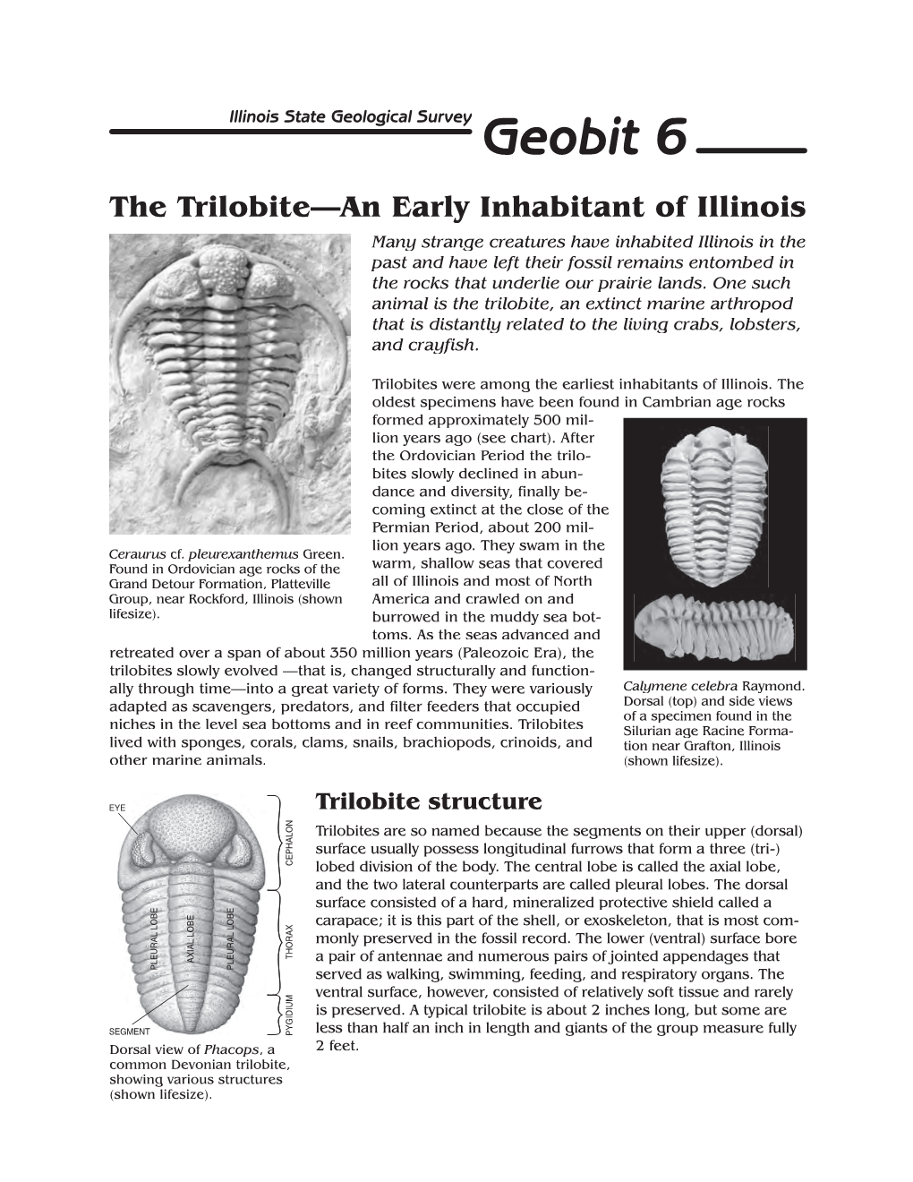 Geobit 6: the Trilobite