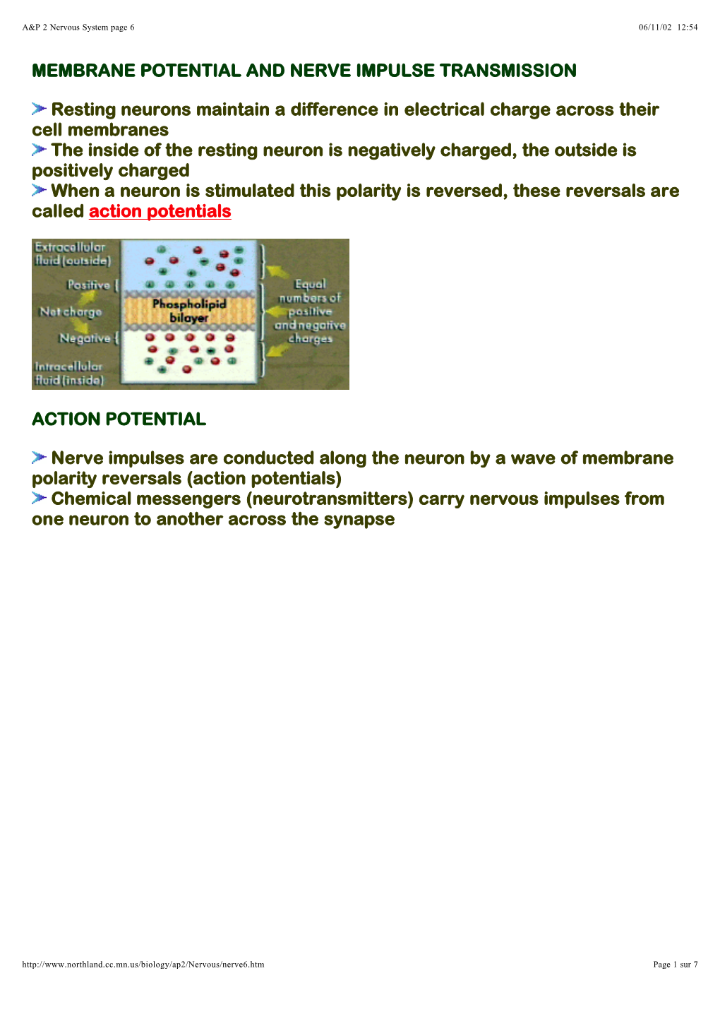 MEMBRANE POTENTIAL and NERVE IMPULSE TRANSMISSION Resting Neurons Maintain a Difference in Electrical Charge Across Their Cell M