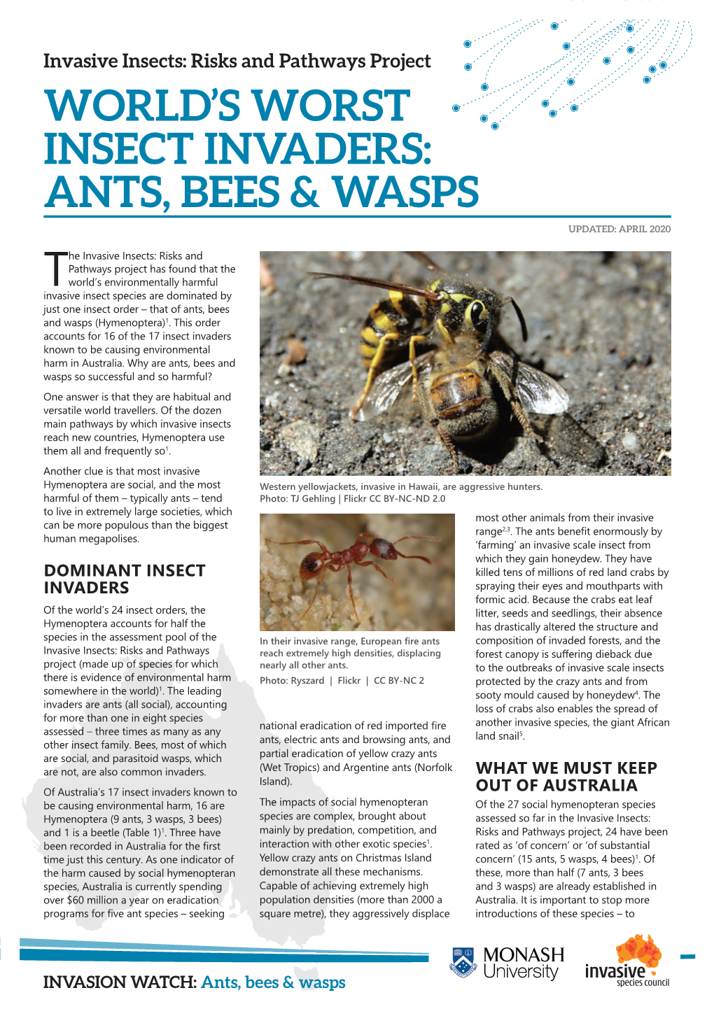 Risks and Pathways Project WORLD’S WORST INSECT INVADERS: ANTS, BEES & WASPS
