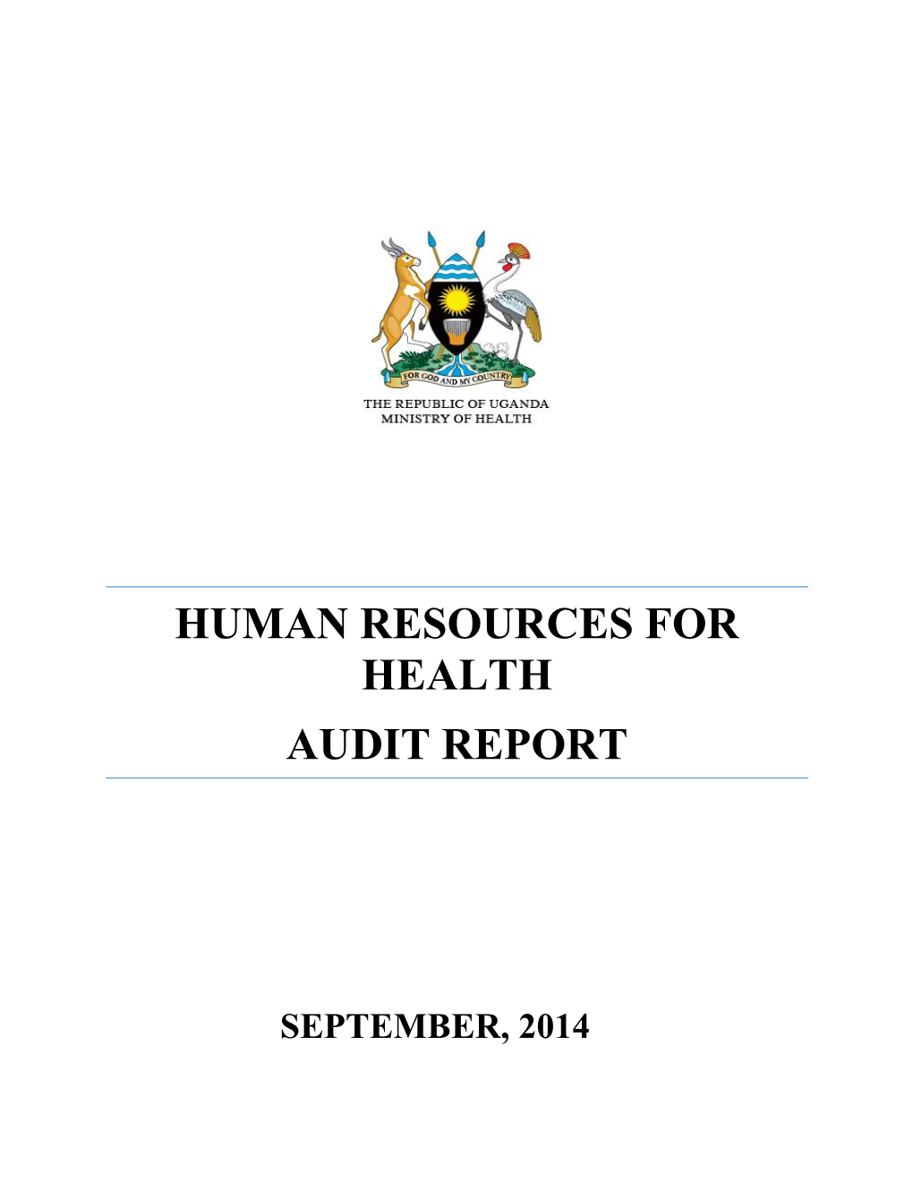 Human Resources for Health Audit Report