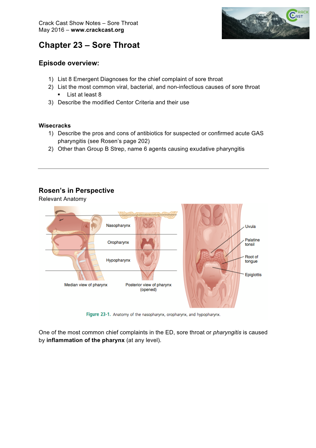 Sore Throat May 2016 –