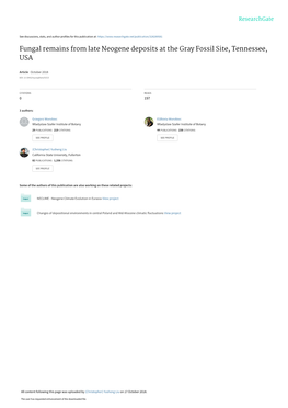 Fungal Remains from Late Neogene Deposits at the Gray Fossil Site, Tennessee, USA