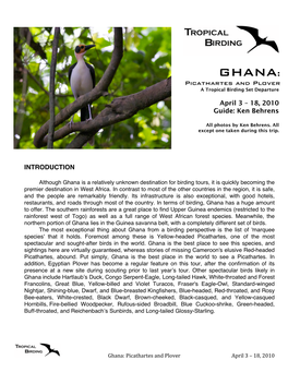GHANA: Picathartes and Plover a Tropical Birding Set Departure