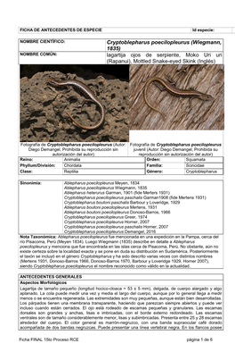 Cryptoblepharus Poecilopleurus (Wiegmann, 1835) NOMBRE COMÚN: Lagartija Ojos De Serpiente, Moko Uri Uri (Rapanui), Mottled Snake-Eyed Skink (Inglés)