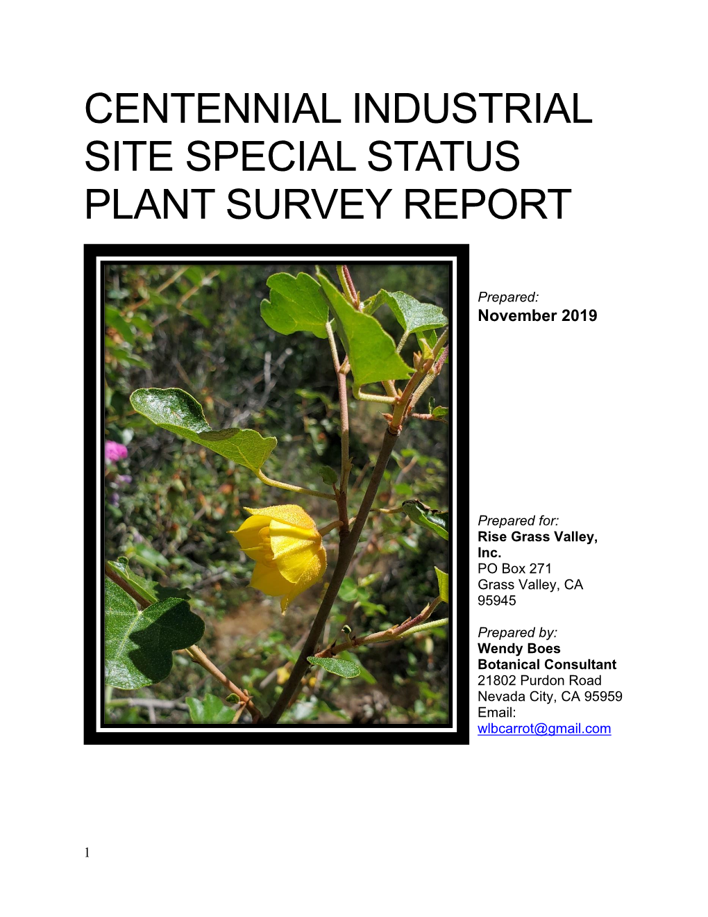 Centennial Industrial Site Special Status Plant Survey Report