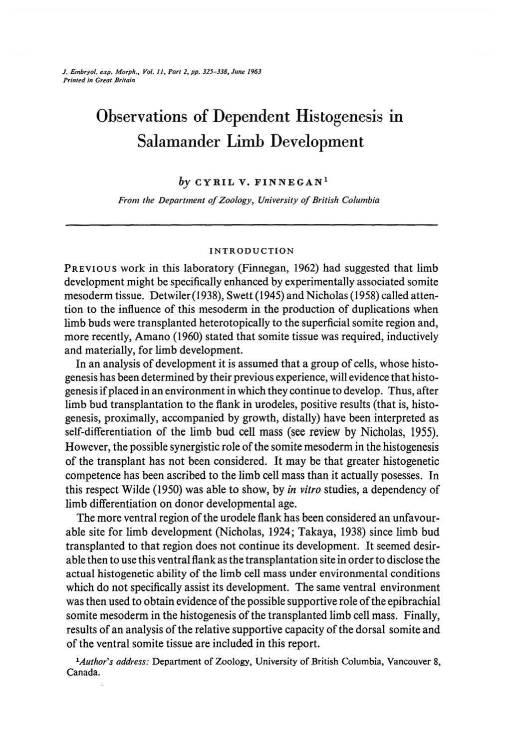 Observations of Dependent Histogenesis in Salamander Limb Development