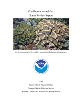 Pocillopora Meandrina Status Review Report (2019)