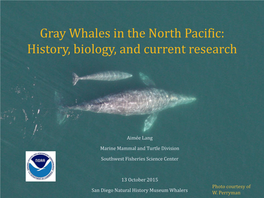 Gray Whales in the North Pacific: History, Biology, and Current Research