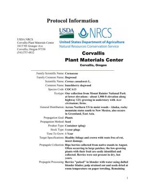Propagation Protocol for Production of Container Cornus Canadensis L. Plants (1-Year Plugs); USDA NRCS - Corvallis Plant Materials Center, Corvallis, Oregon