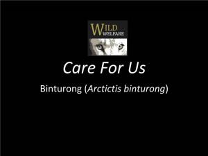 Binturong (Arctictis Binturong) Animal Welfare Animal Welfare Refers to an Animal’S State Or Feelings