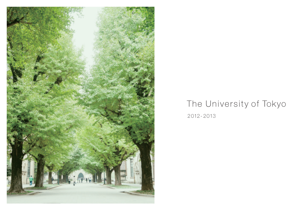 The University of Tokyo