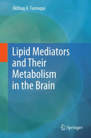 Lipid Mediators and Their Metabolism in the Brain