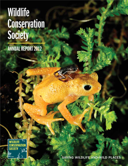 Wildlife Conservation Society ANNUAL REPORT 2012