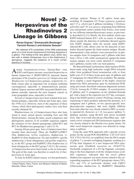 Herpesvirus of the Rhadinovirus 2 Lineage in Gibbons