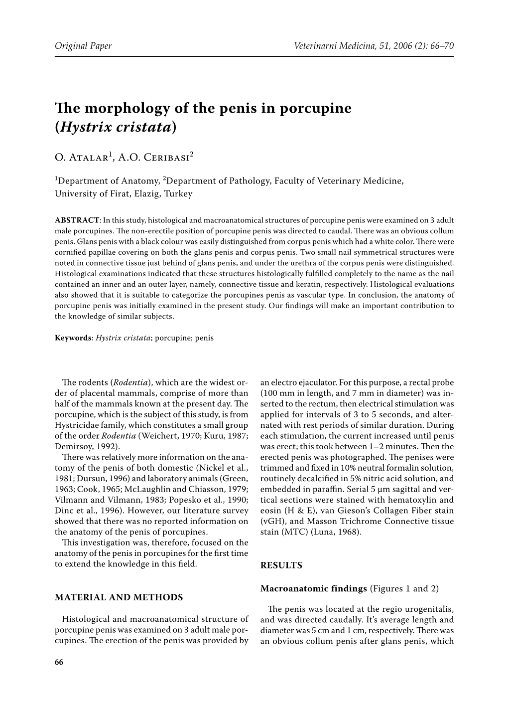 The Morphology of the Penis in Porcupine (Hystrix Cristata)