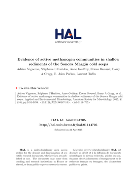 Evidence of Active Methanogen Communities in Shallow Sediments